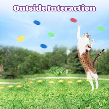 Cat reaching upward while colorful soft discs fly in outdoor play