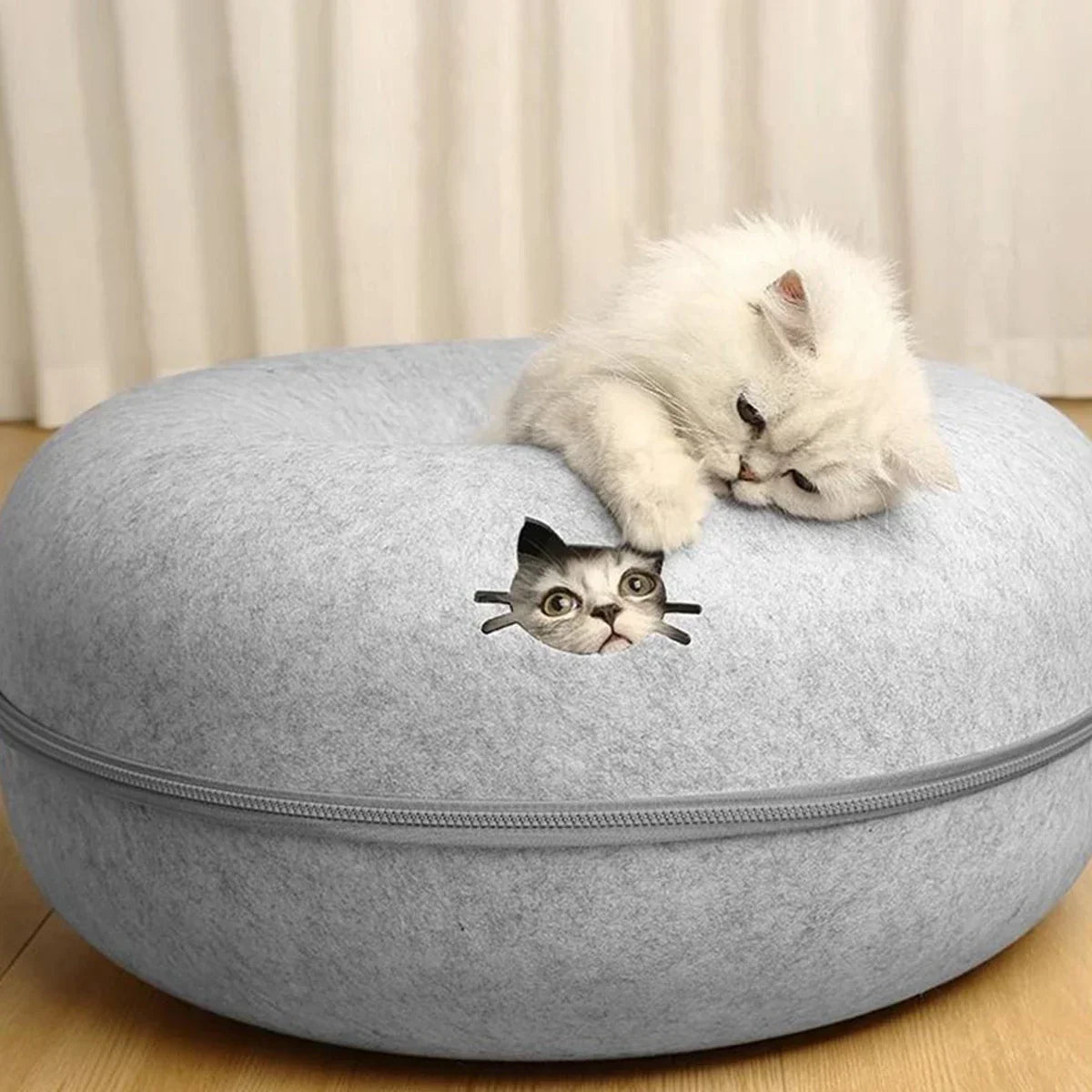 Fluffy white kitten resting on gray felt cat bed with peek-a-boo face design, cozy pet nesting spot