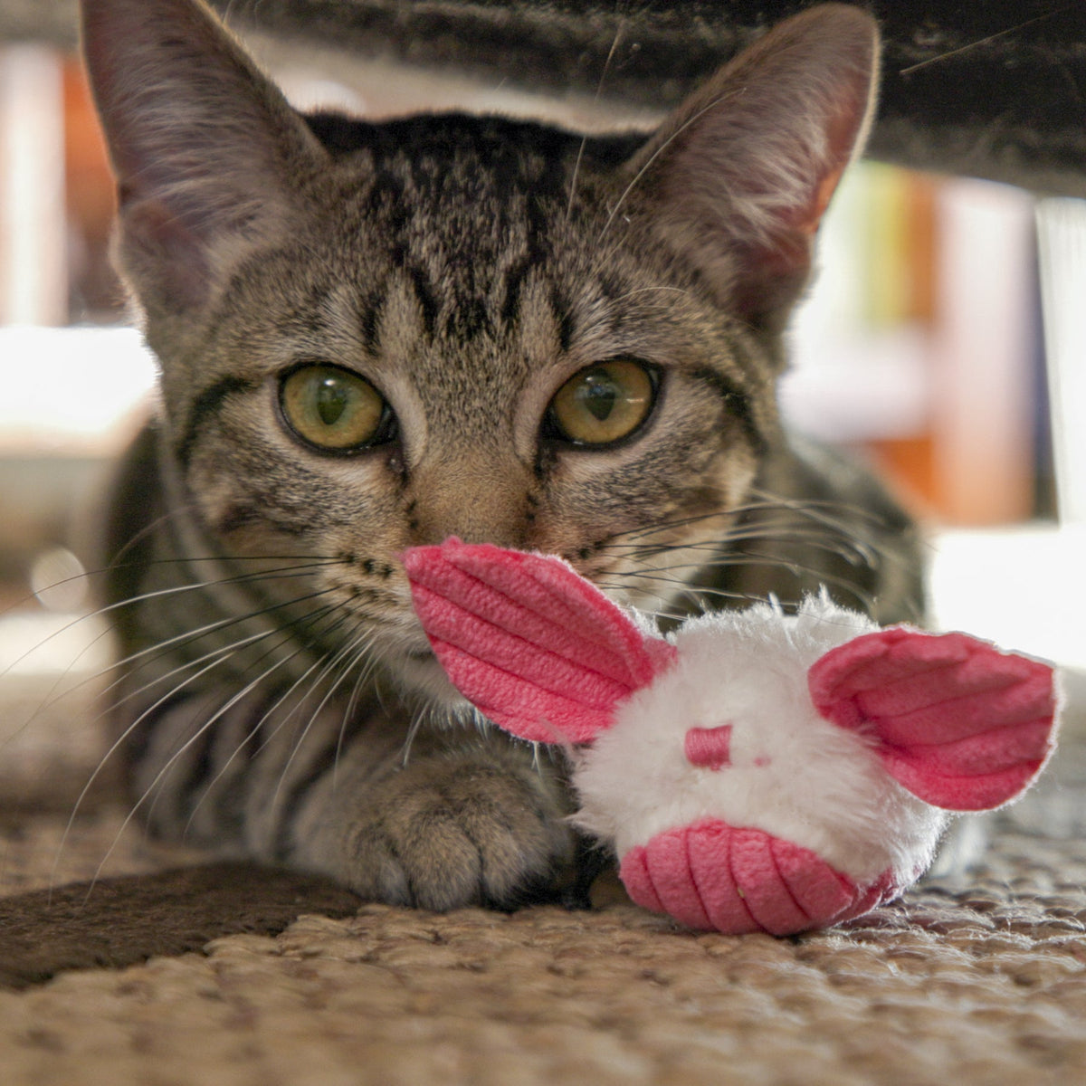 Plush dust bunny cat toy, white with red accents, 3-pack