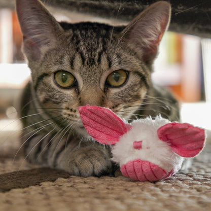 Plush dust bunny cat toy, white with red accents, 3-pack