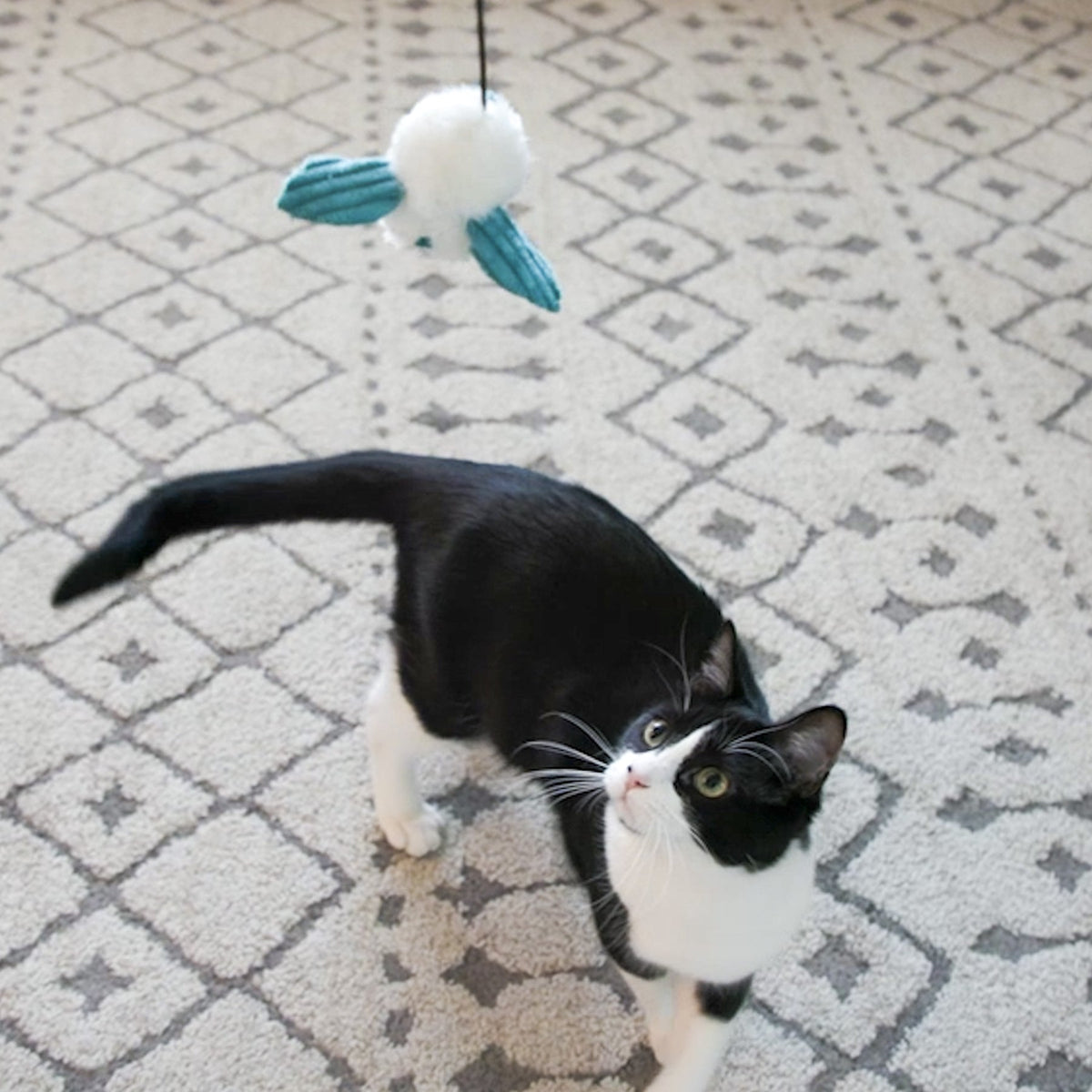 Plush dust bunny cat toy, white with teal accents, 3-pack