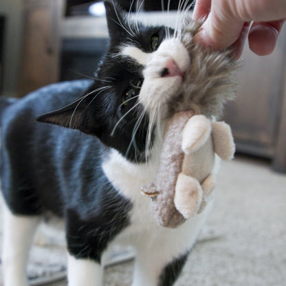 Plush brown squirrel cat toy held by a cat with paws on the toy