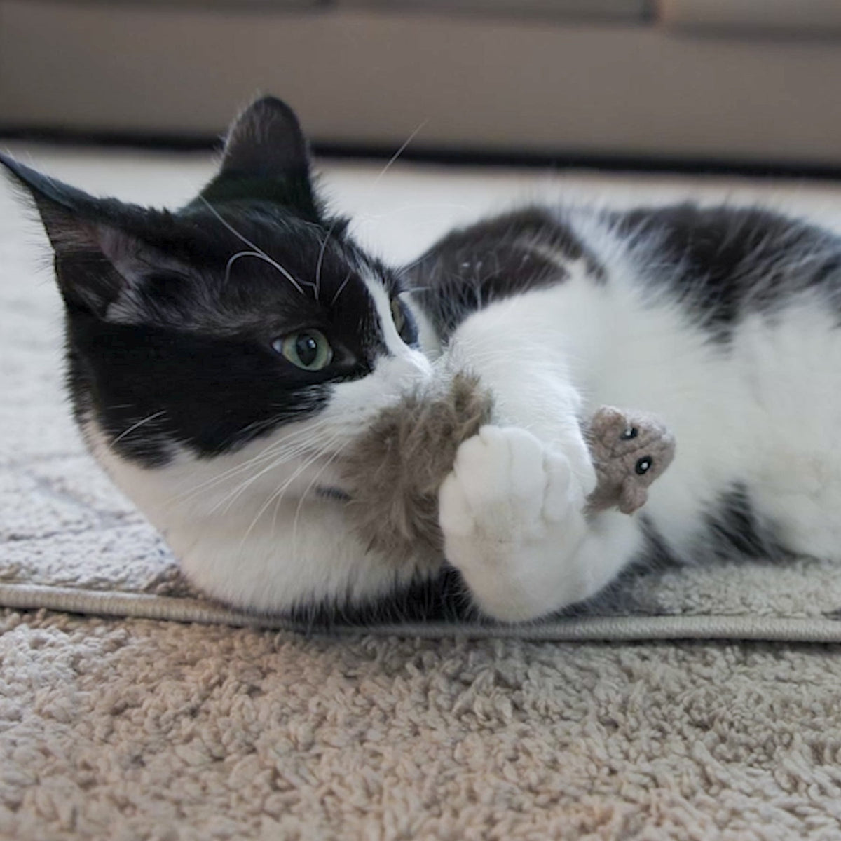 Plush brown squirrel cat toy beside a cat lying on the floor