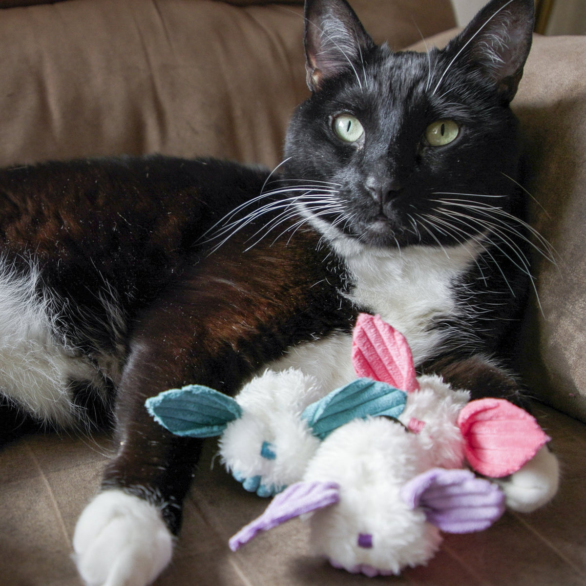 Cat playing with white plush dust bunny toy with pink ridged ears