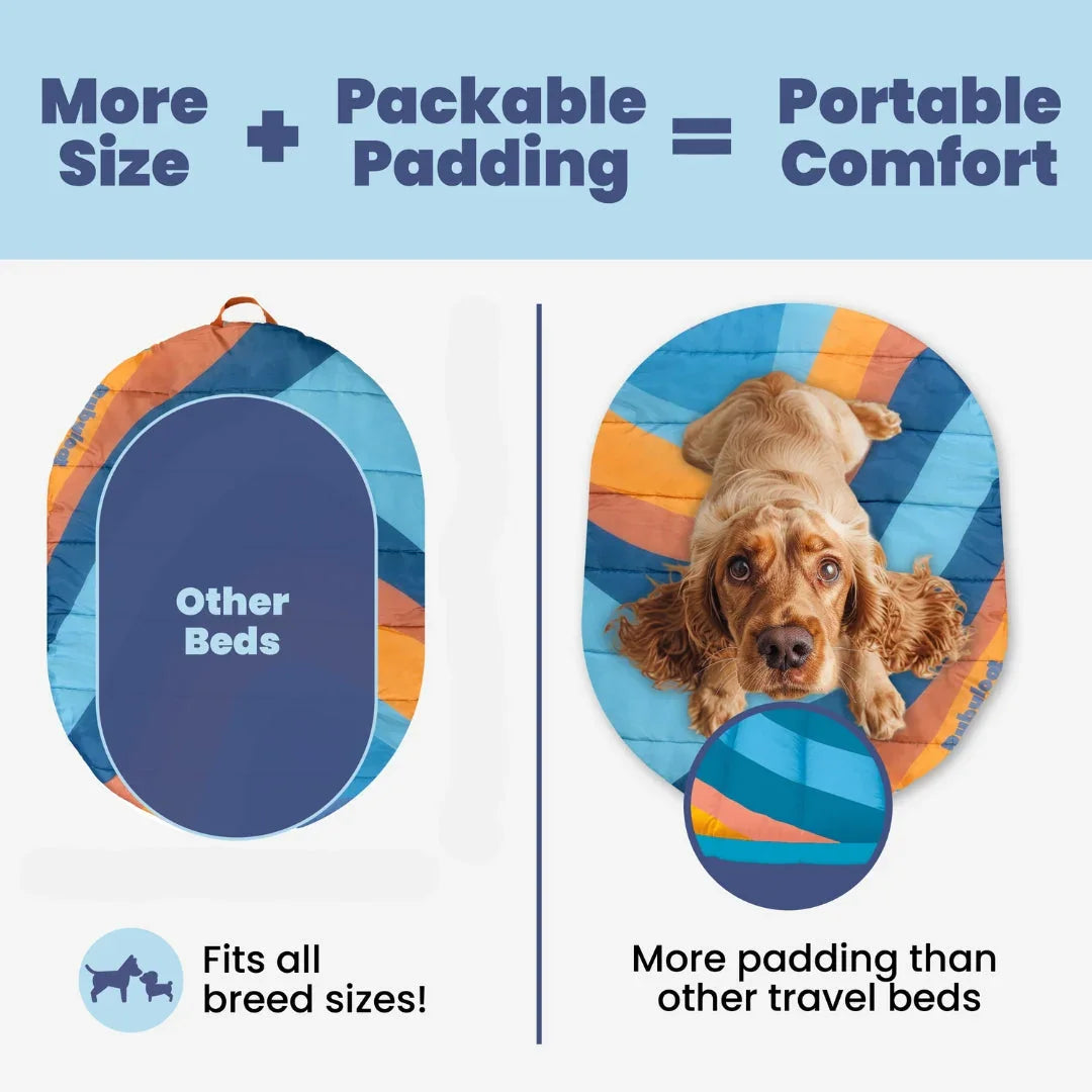 Packable travel dog bed with teal striped interior and travel carry bag