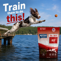 Beef Heart Freeze-dried Raw Trail Snacks (Treats) for Dogs 3oz