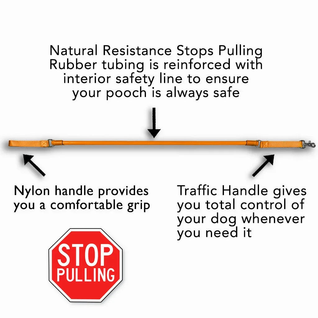 No-pull dog leash with nylon handle and traffic control handle, orange