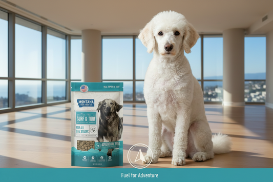 Freeze-dried raw dog food pouch with freeze-dried raw protection seal and icons