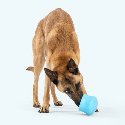 Tan dog sniffing a blue silicone dog treat toy bowl