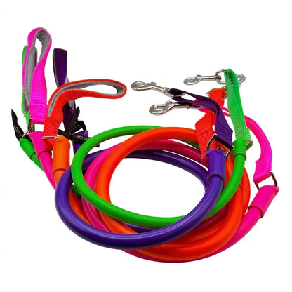 Multi-color no-pull dog leash set with purple, orange, green, and pink straps.