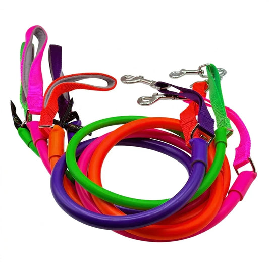 Multi-color no-pull dog leash set with purple, orange, green, and pink straps.