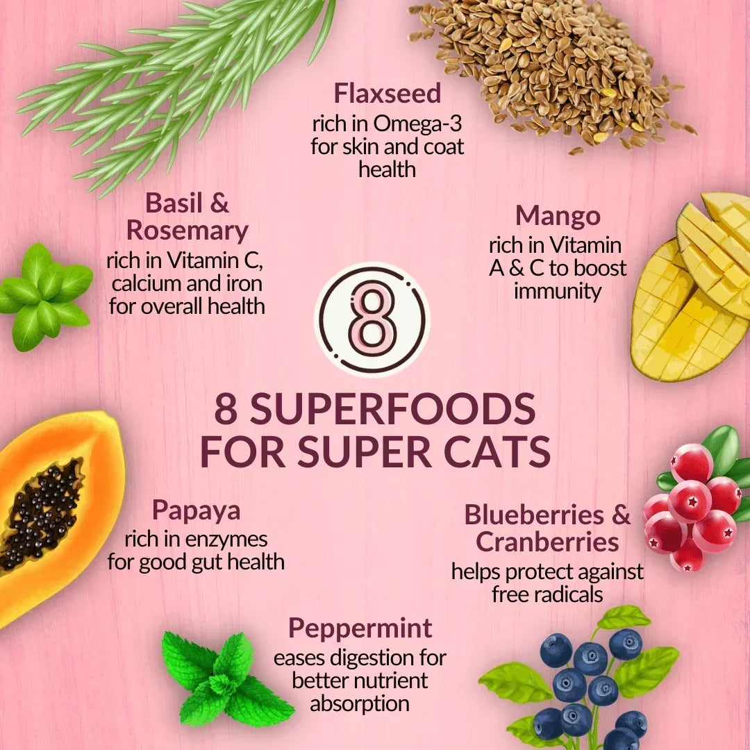 Superfood ingredient graphic for cat food: flaxseed, mango, papaya, blueberries and cranberries