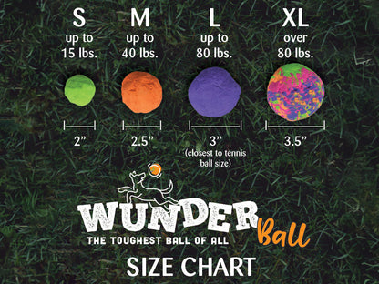 Fetch toy ball size chart with green, orange, purple, and multicolor balls