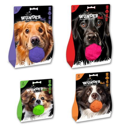 WUNDERball fetch toy multipack showing four sizes and colors