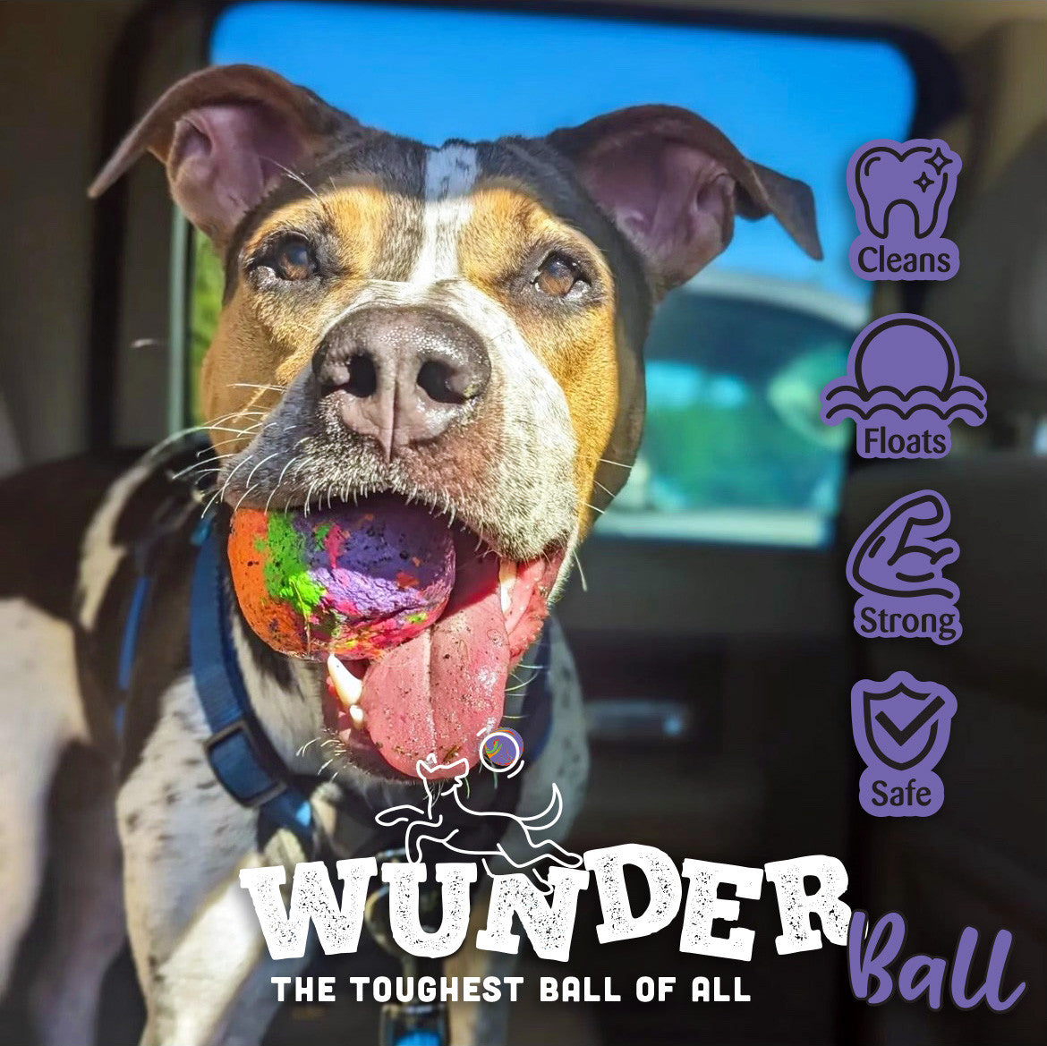 Dog wearing a bandana with a multicolor textured fetch ball