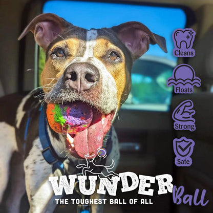 Dog wearing a bandana with a multicolor textured fetch ball