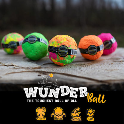 Assorted plush fetch toy balls in green, orange, purple, and pink