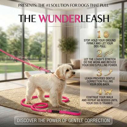 No-pull dog leash with padded loop handle and adjustable strap, pink leash line