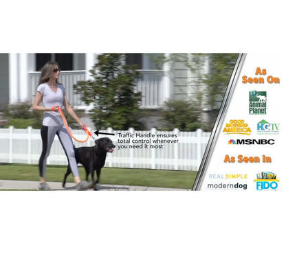 No-pull dog leash with traffic handle, orange lead and strap, shown on black dog