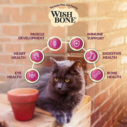 Wishbone cat dry food bag front with health icons and gray cat