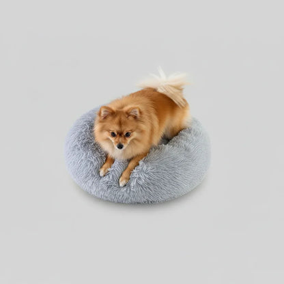 Small Pomeranian dog relaxing in a grey Midfox Plush Donut Comfort Pet Bed