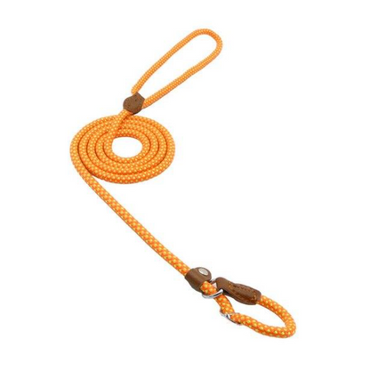 Braided nylon dog leash and collar set, bright orange rope with brown leather tabs