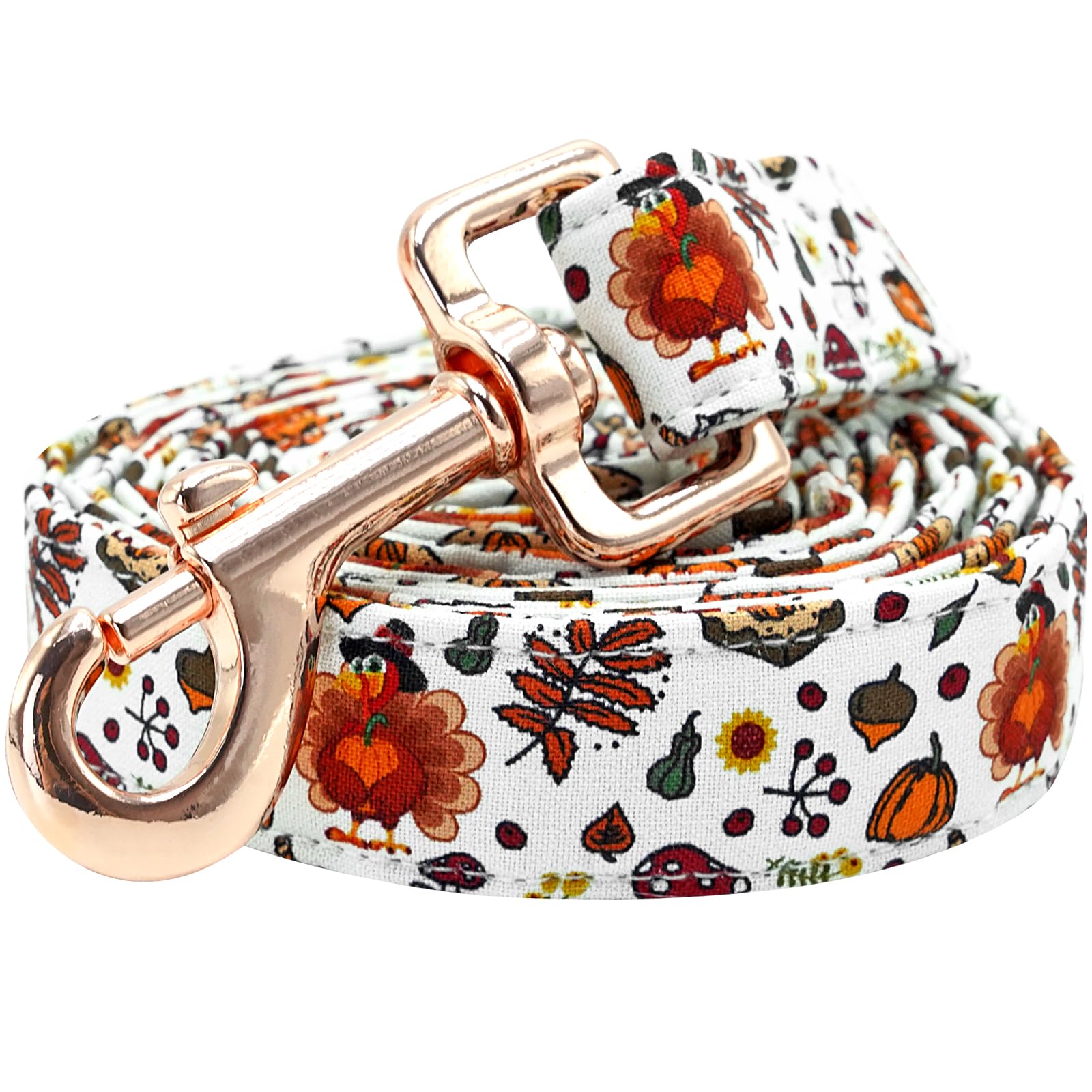 Durable Nylon Dog Leash with Soft Handle – For Small, Medium & Large Dogs