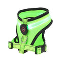 Bright green LED dog harness with reflective strips for safe nighttime walks
