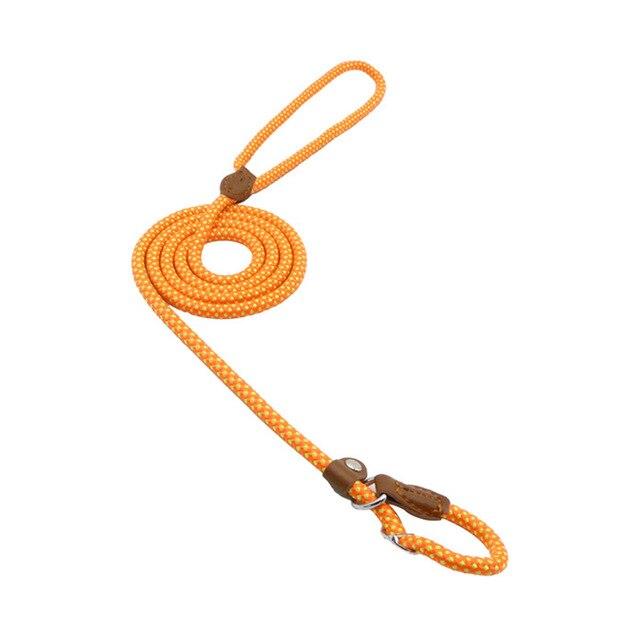 Braided nylon dog leash and collar set, golden orange rope with brown leather tabs