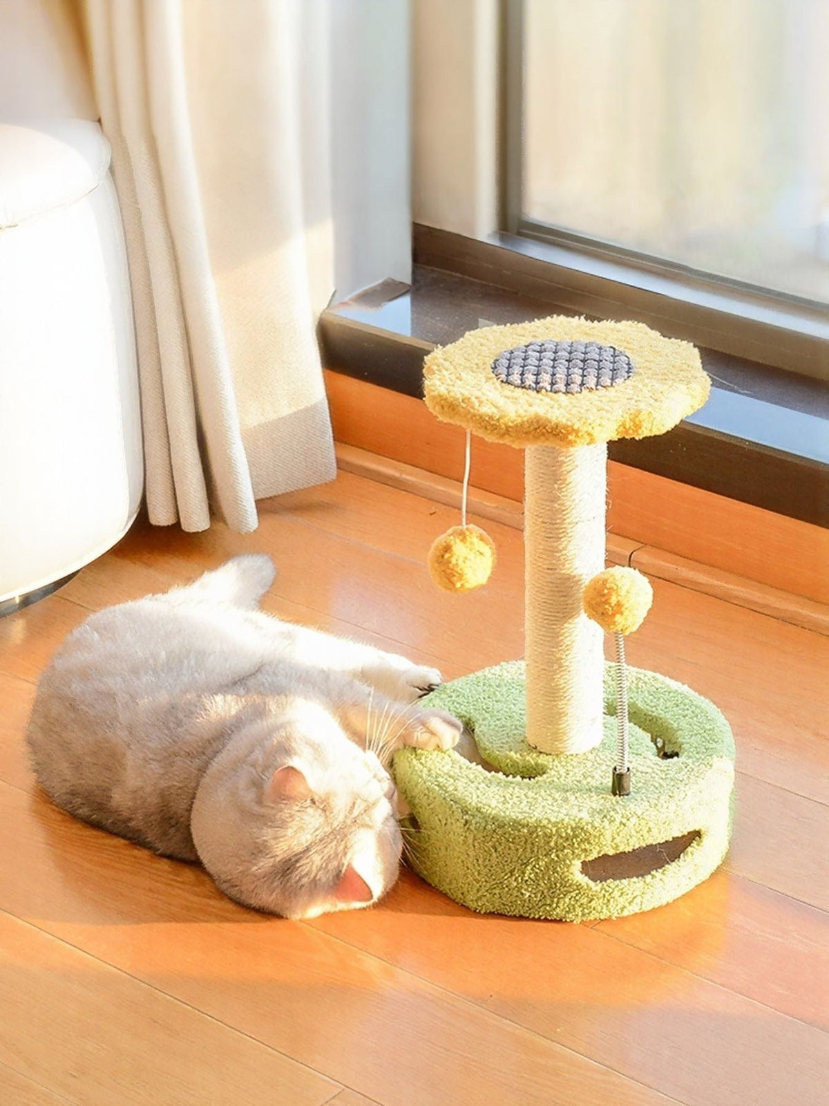 Cat scratching post with dangling balls, green and yellow plush base near window.
