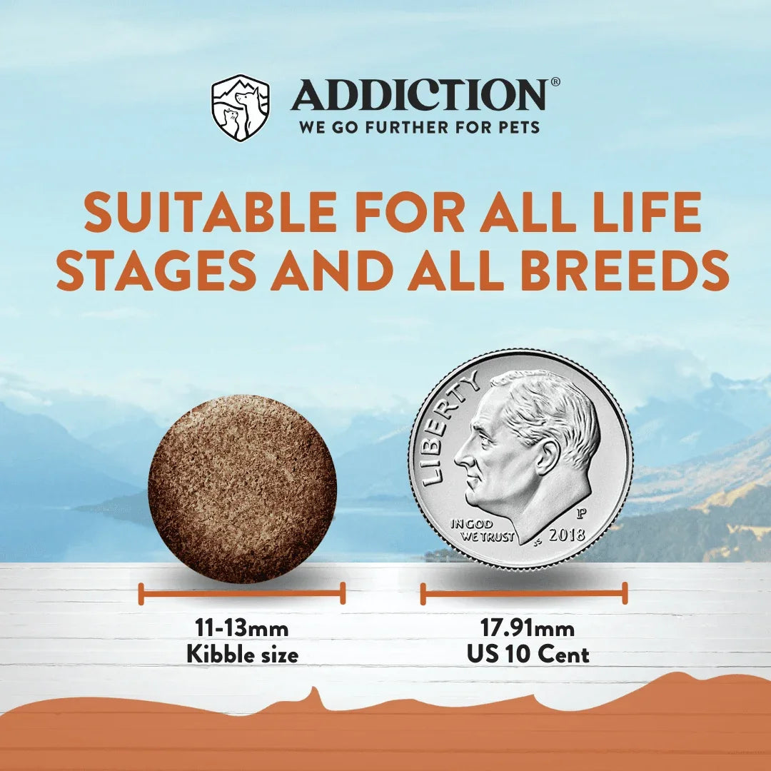 Addiction Pet Foods USA dry dog food kibble size comparison next to a US dime.