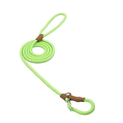 Neon green braided nylon dog leash set with leather handle and metal ring