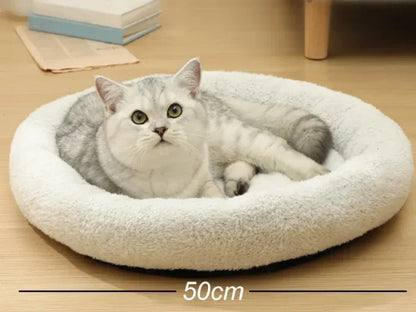 Cozy 50cm cat bed with fluffy white lining, perfect for pampered cats to relax and nap comfortably.