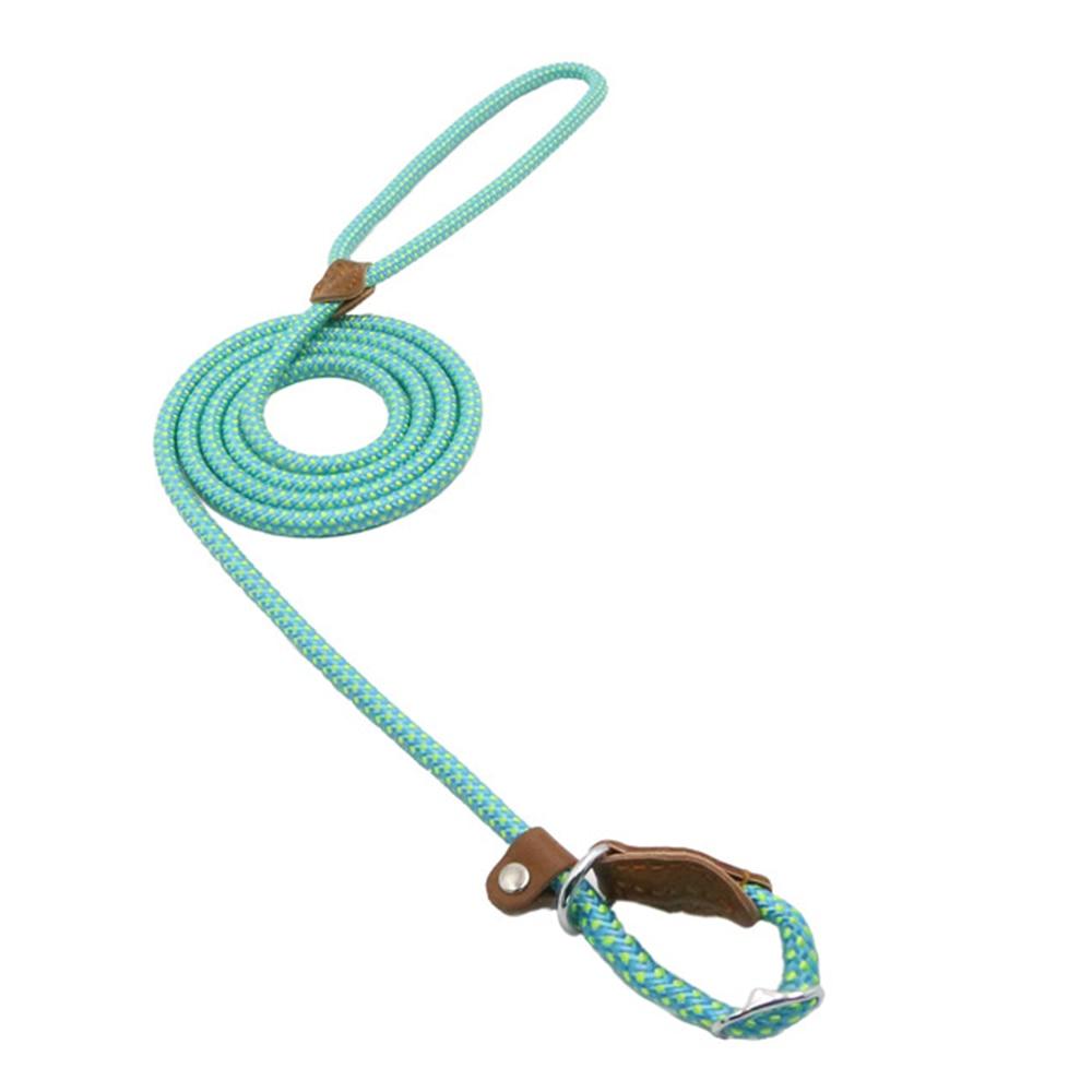 Nylon dog leash set, teal rope leash with woven handle loop and metal clasp.