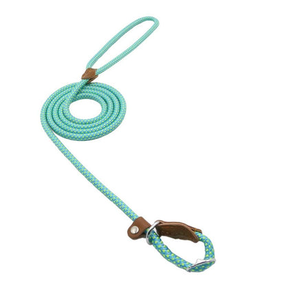 Nylon dog leash set, teal rope leash with woven handle loop and metal clasp.
