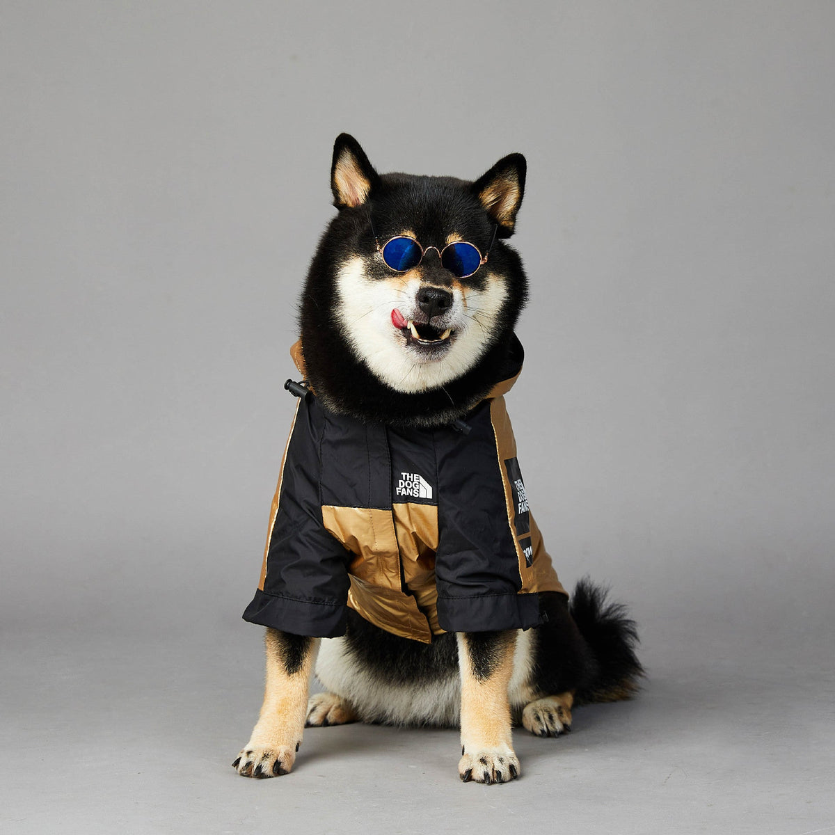 Black and gold dog raincoat with hood and front zip, logo patch