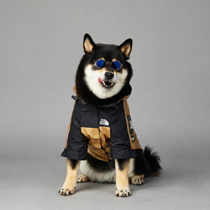 Black and gold dog raincoat with hood and front zip, logo patch