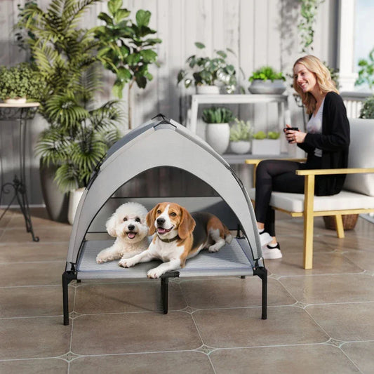 Light gray elevated dog bed with arched removable canopy and raised cot frame