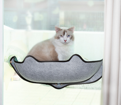 Grey window cat hammock with dark trim and four suction cups, cat resting inside