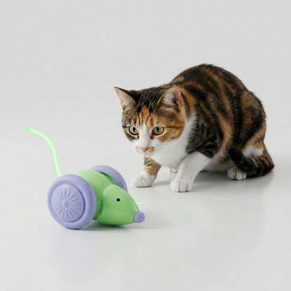 Green cat LED mouse toy with purple wheels and glowing light wand