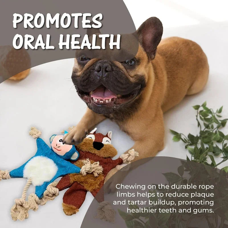 French bulldog chewing durable rope toy for oral health, promoting cleaner teeth and gums