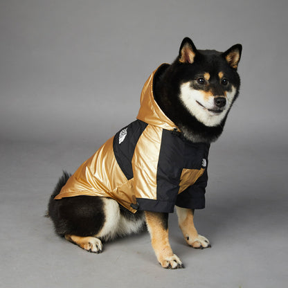Gold and black padded dog raincoat jacket with hood, front fastening, logo patch