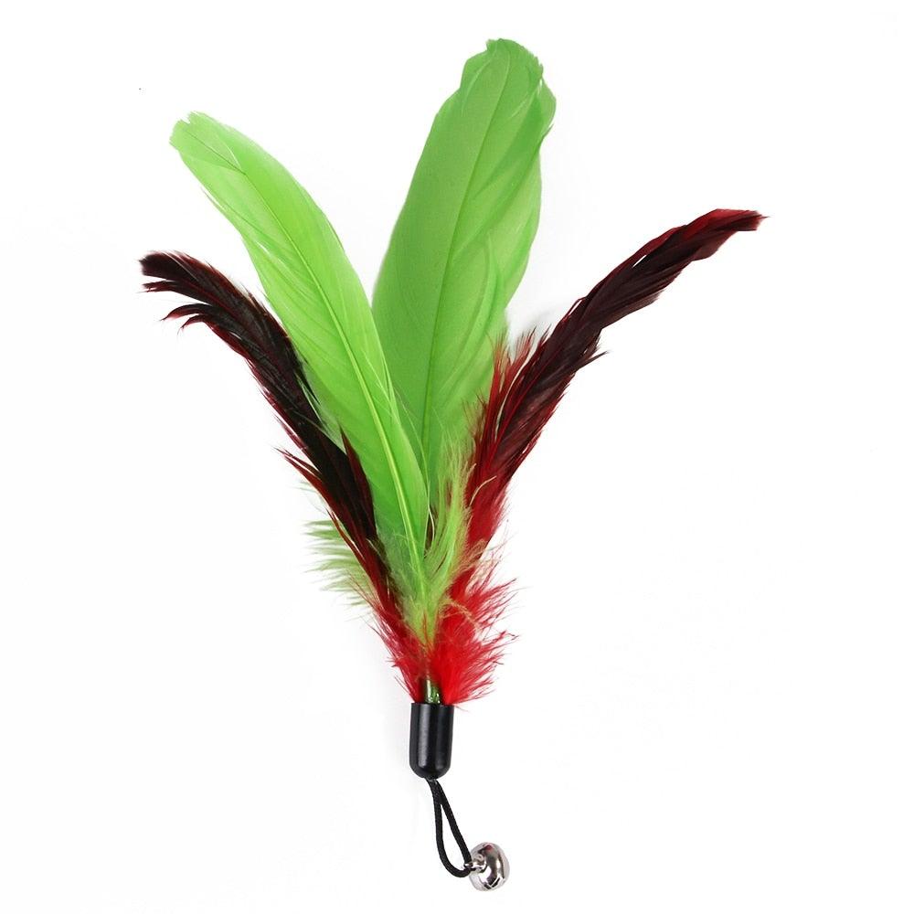 Cat feather teaser wand with green and dark red feather cluster