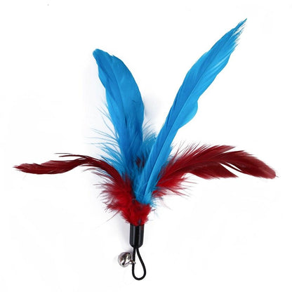 Cat feather teaser wand with blue and red feather cluster