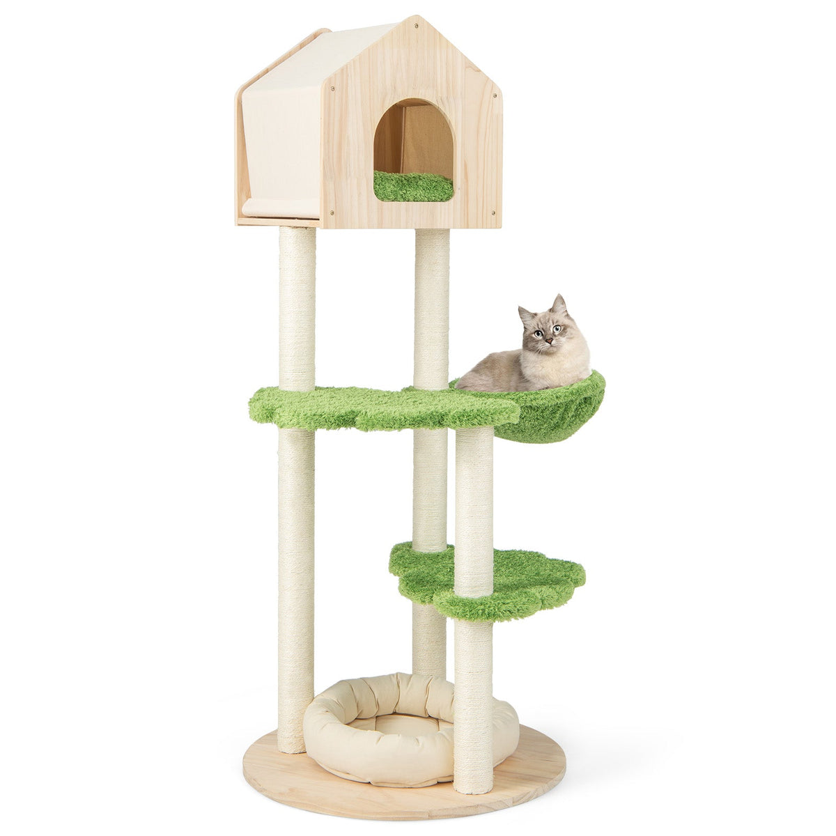 55-inch tall cat climbing stand with green perches, sisal posts, and round cushioned base bed