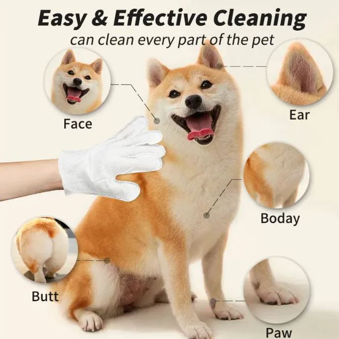 White pet glove wipe on a dog, for face, ear, paw, body, and butt cleaning