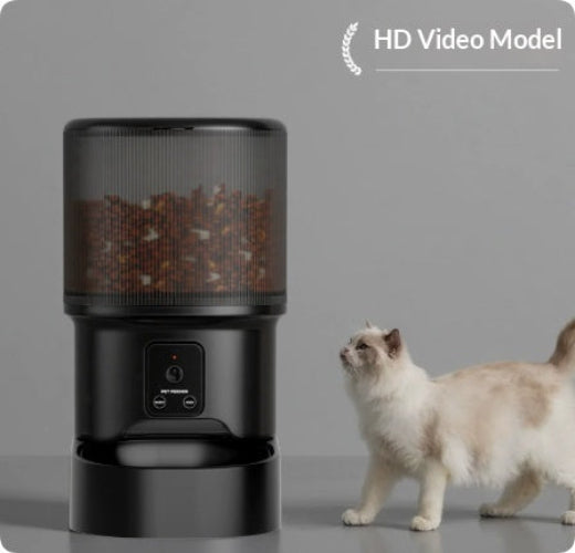 Black HD video smart pet feeder with cat beside base