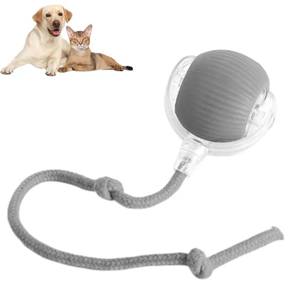 Grey 360 pet ball toy with clear launcher and looped grey cord