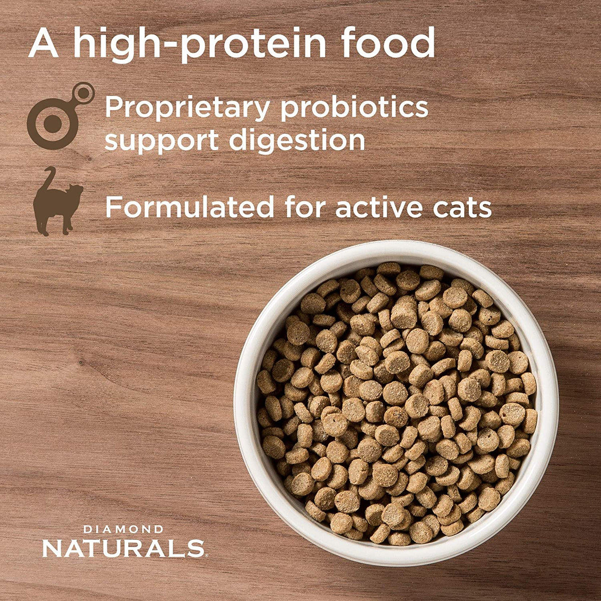 Dry cat kibble in white bowl for active cats