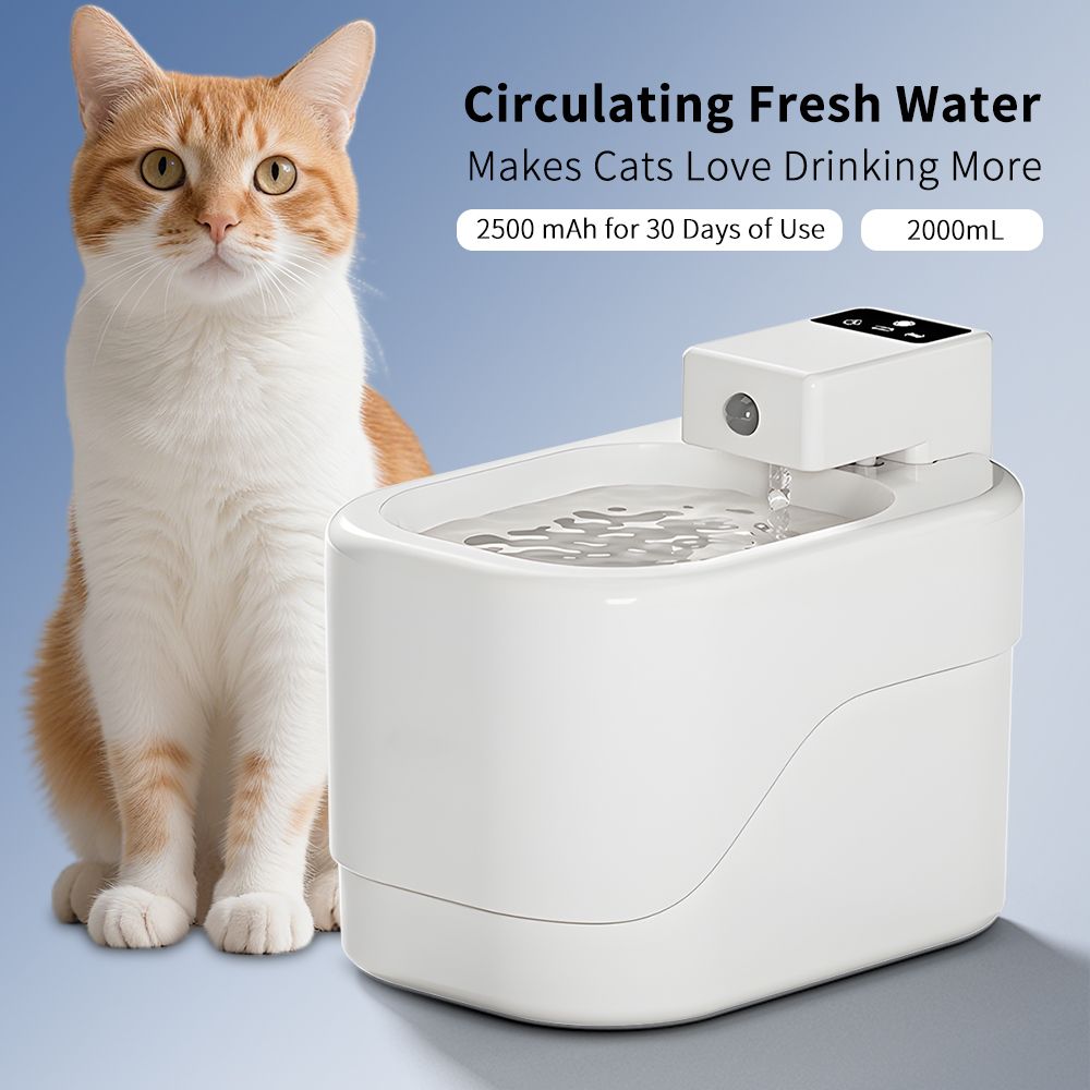 Quiet Cat Water Fountain
